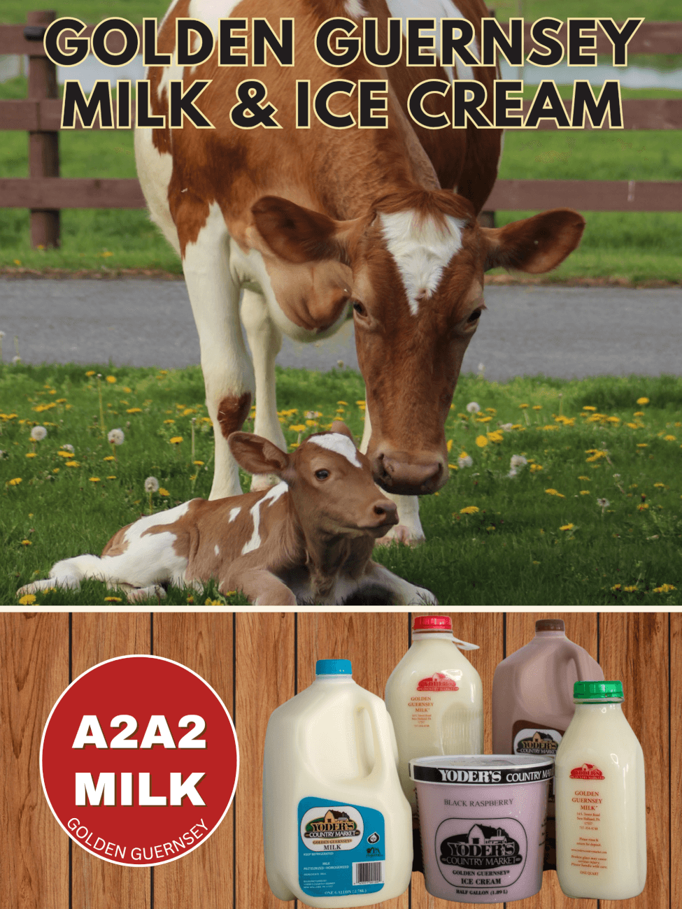 Copy of Guernsey milk road sign